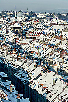 俯拍,城市风光,积雪,屋顶,伯尔尼,瑞士