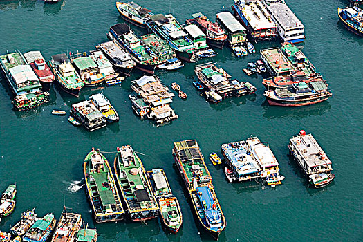 渔船,锚定,蔽护,香港