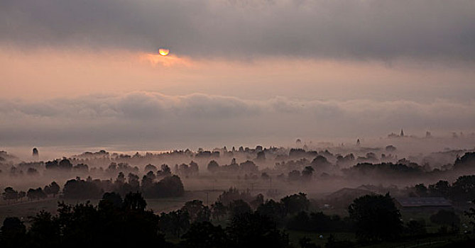 秋天,雾,清晨,巴登符腾堡,德国,欧洲