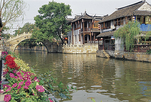 上海枫泾水乡