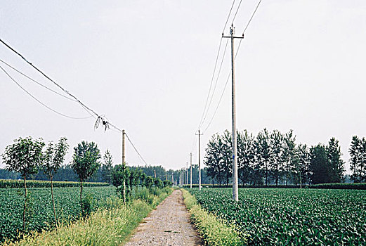 乡间小路