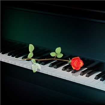 抽象,低劣,深色背景,玫瑰,钢琴