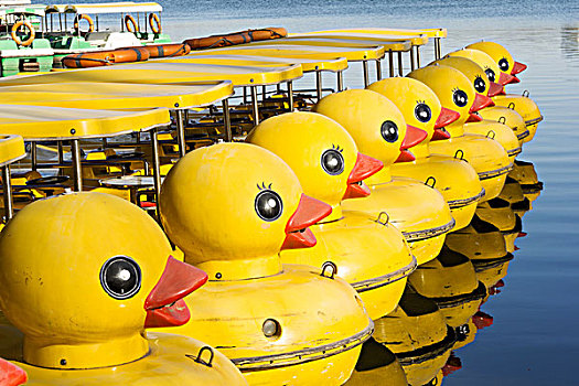 黄鸭船