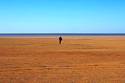 一个,孤单,撒哈拉沙漠,利比亚,非洲