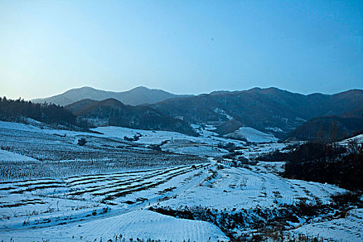 雪野,北方,东北,大雪,原野,土地,冬季,洁白,干净,风景,村庄,农村