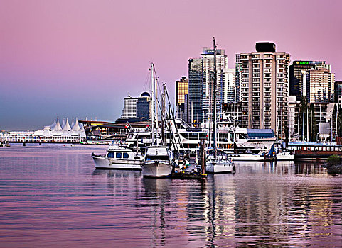 船,码头,小湾,温哥华,不列颠哥伦比亚省,加拿大
