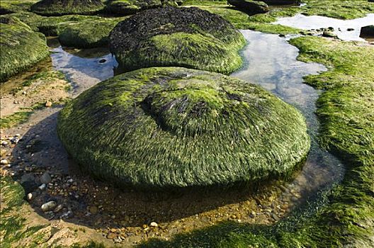 石头,海滩,法国