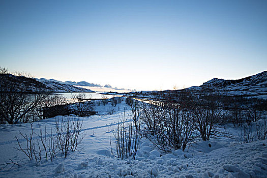 罗弗敦挪威lofoten雪北极