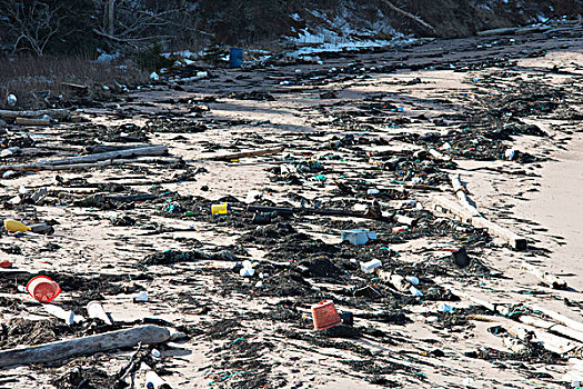 垃圾,海滩,芬地湾,新斯科舍省,加拿大