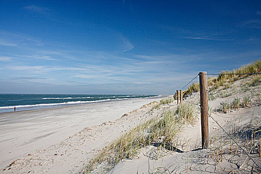 栅栏,正面,沙丘,海滩,特塞尔,荷兰,欧洲