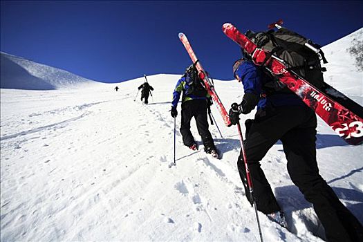 滑雪者,攀登,山,拉普兰,瑞典