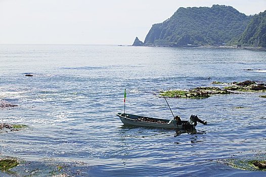 干燥,海藻,捕鱼