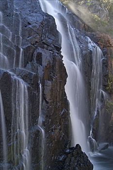特写,瀑布,格兰扁,国家公园,维多利亚,澳大利亚