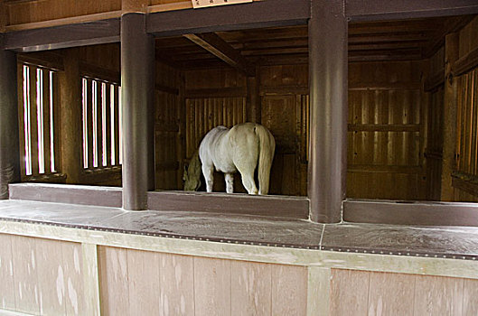 白马,建筑,神祠,复杂,日本