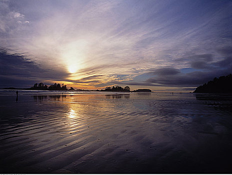 海滩,靠近,黄昏,温哥华岛,不列颠哥伦比亚省,加拿大