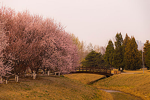 北京奥林匹克公园