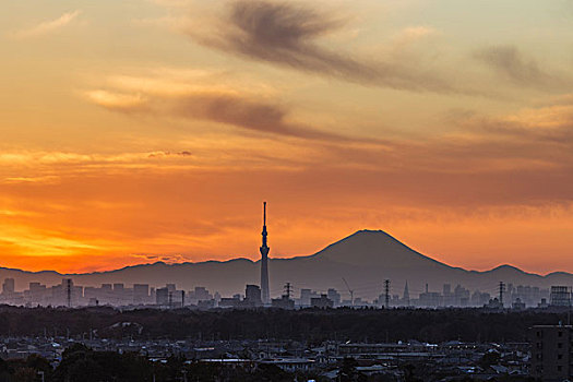 富士山,东京,日落,日本