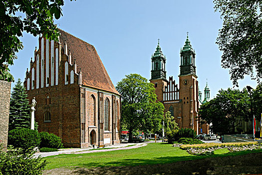 大教堂,高校,教堂,波兰,欧洲