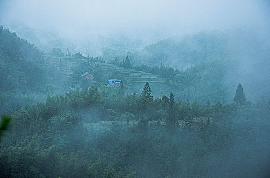 雨雾山景