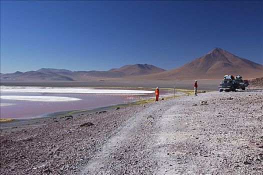 泻湖,高原,玻利维亚,南美