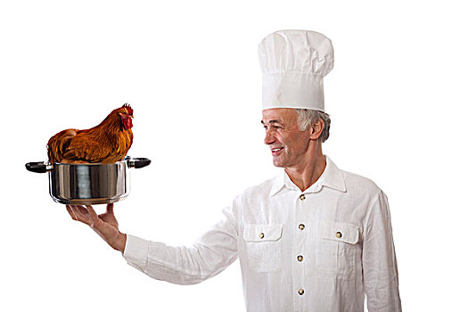 厨师,拿着,煮沸,母鸡,坐,锅