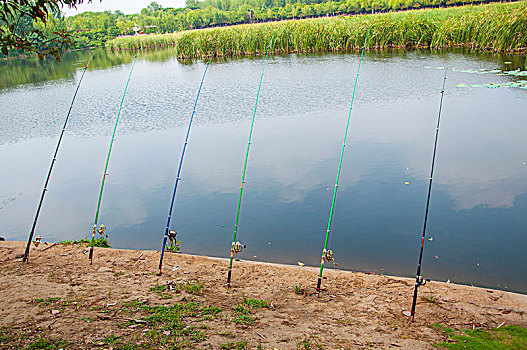 湖边的钓鱼竿