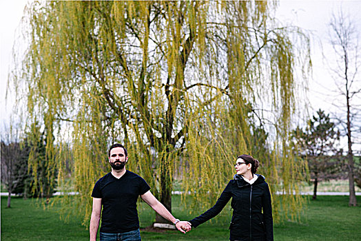 情侣,正面,柳树,公园,加拿大