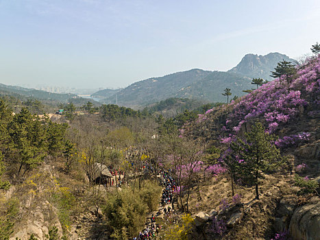 山东省青岛大珠山景区航拍图片