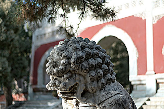 北京碧云寺塔院砖牌坊石狮子