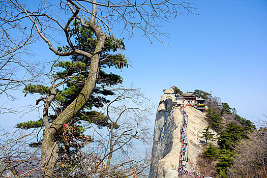 华山春日盛景