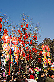 2008年北京地坛春节庙会