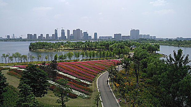 城市湿地