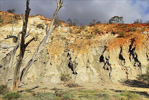 陡峭,堤岸,河,干枯,河床,自然保护区,西澳大利亚,澳大利亚
