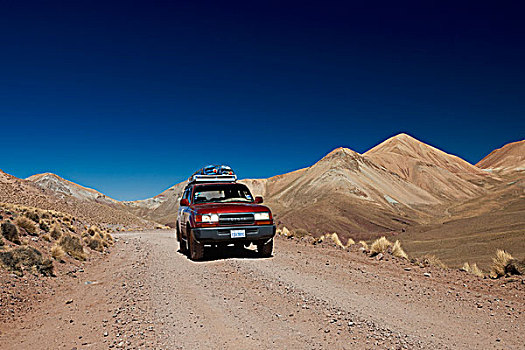 四驱车,汽车,动物,安第斯山,玻利维亚
