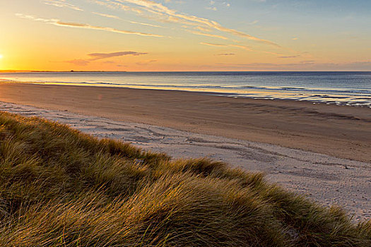 太阳,反射,沙丘草,海滩,日出,俯视,北海,诺森伯兰郡,英格兰,英国
