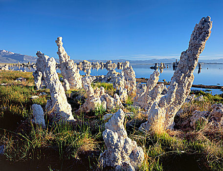 莫诺湖,自然保护区,加利福尼亚,美国,倾斜,石灰华,柱子,植被,南,岸边