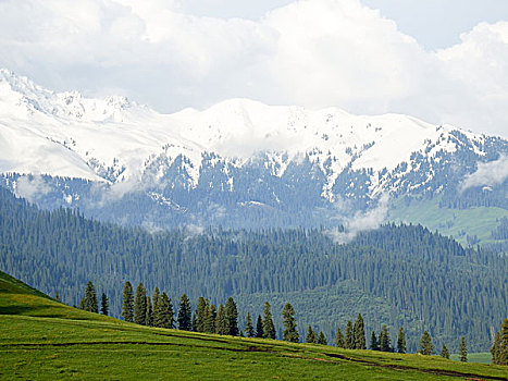 云雾天山