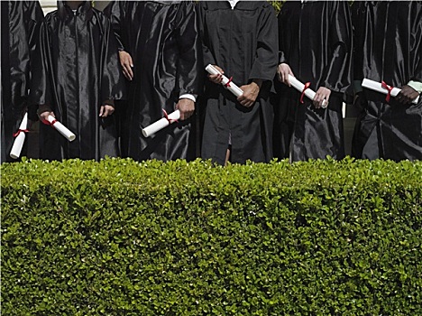 排,大学生,学位服,拿着,证书,中间部分,树篱,前景