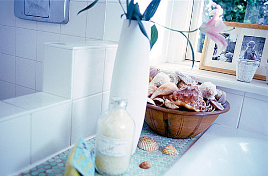 浴室,装饰,花瓶,贻贝,壳,边缘