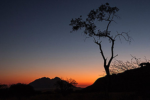 晚间,小,后面,纳米比亚,非洲