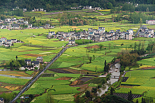 黄山市黟县柯村风光