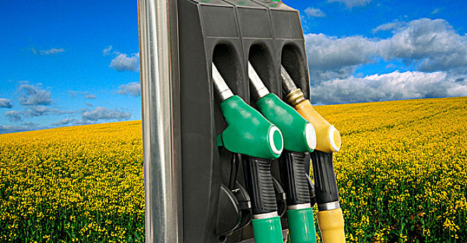 汽油泵,正面,油菜地,象征,绿色,燃料