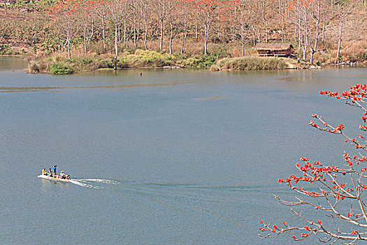 田园风光