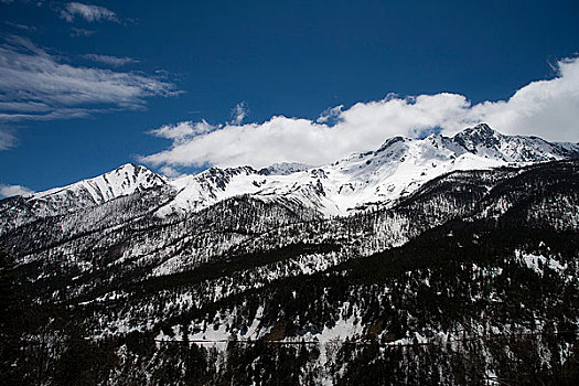 白马雪山