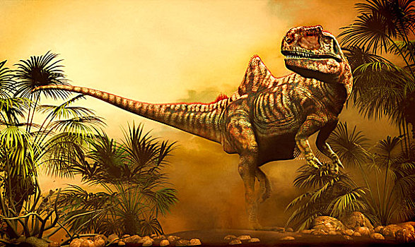 恐龙,早,白垩纪,时期