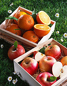 迷你,板条箱,橘子,苹果