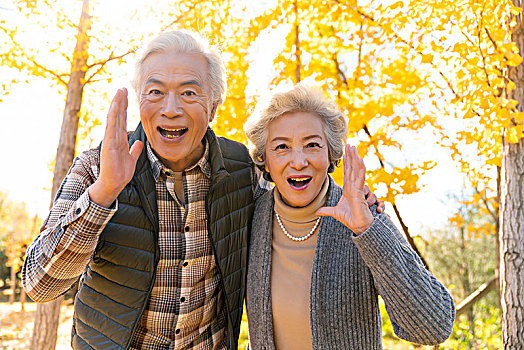 甜蜜的老年夫妻