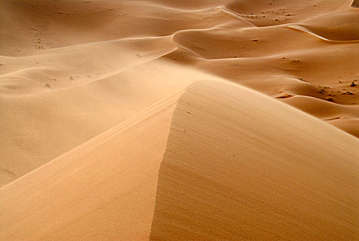风景,沙丘,却比沙丘,沙漠,摩洛哥