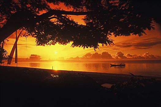 剪影,河,日落,巴厘岛,印度尼西亚