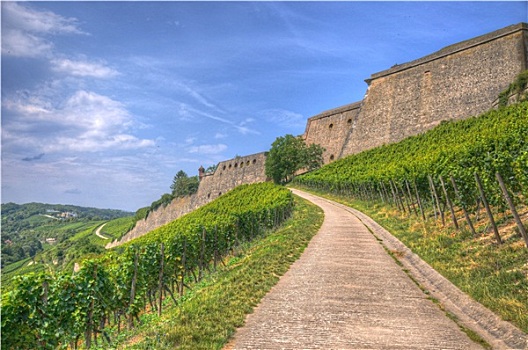 石墙,玛利恩堡,要塞,城堡,葡萄,五兹堡,拜恩州,德国